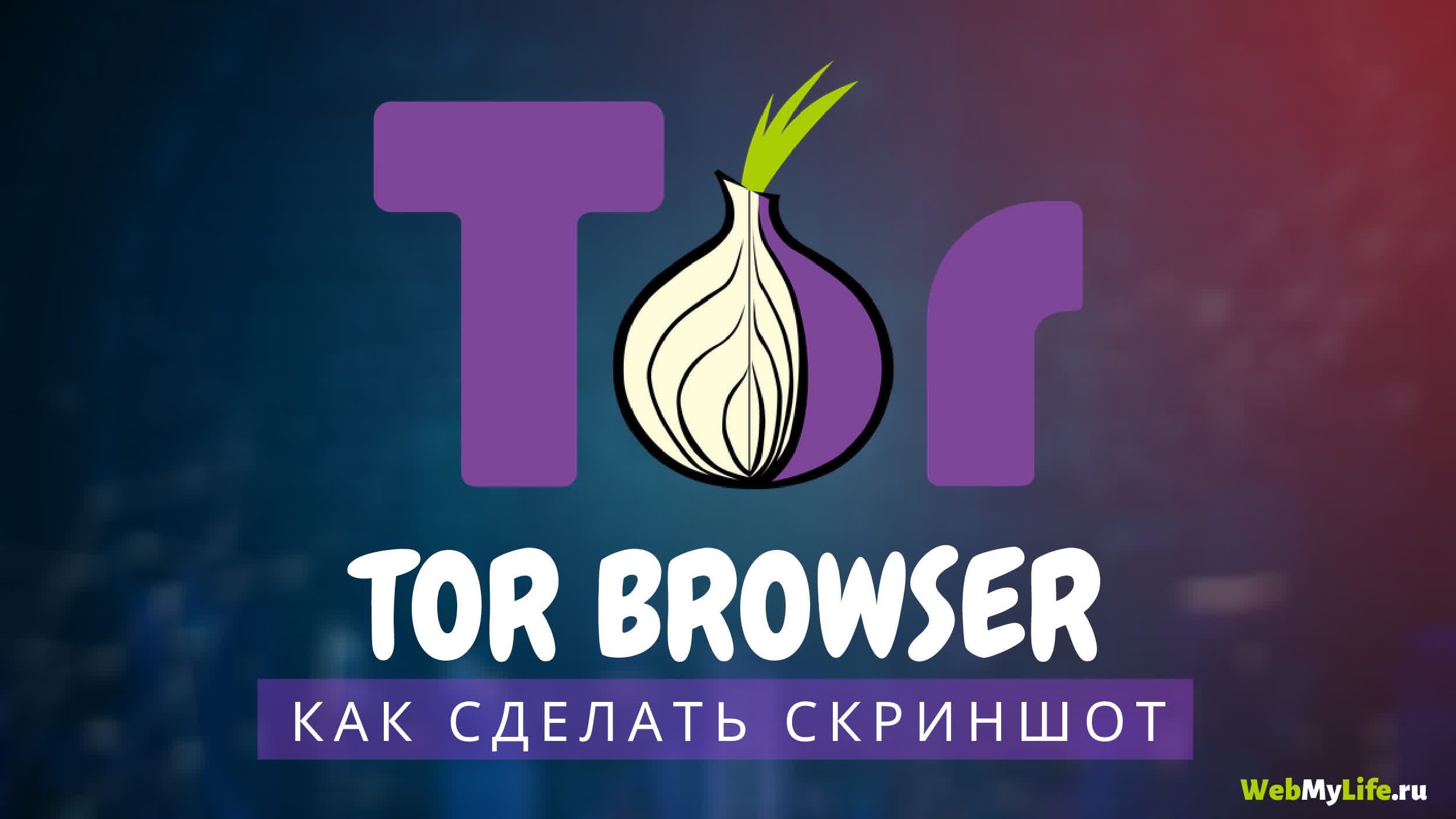 Omg omg tor ссылка